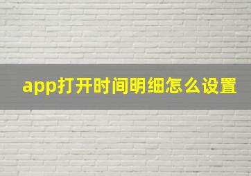 app打开时间明细怎么设置