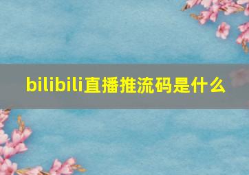 bilibili直播推流码是什么