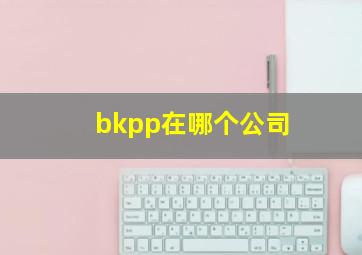 bkpp在哪个公司