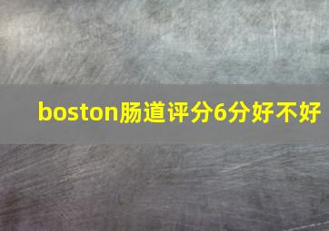 boston肠道评分6分好不好