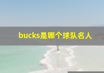 bucks是哪个球队名人