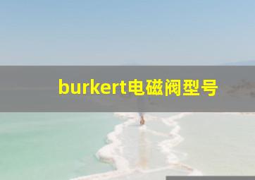 burkert电磁阀型号