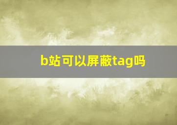 b站可以屏蔽tag吗