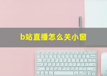 b站直播怎么关小窗