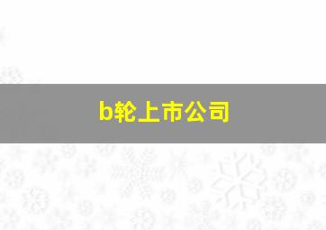 b轮上市公司