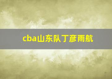 cba山东队丁彦雨航