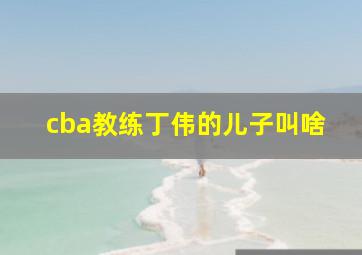 cba教练丁伟的儿子叫啥