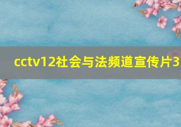 cctv12社会与法频道宣传片3