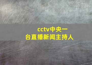 cctv中央一台直播新闻主持人