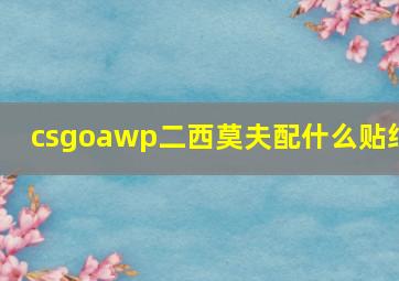 csgoawp二西莫夫配什么贴纸