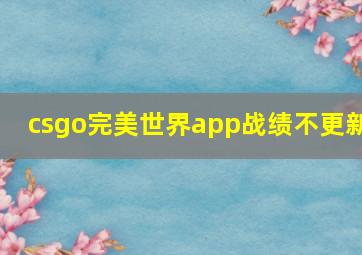 csgo完美世界app战绩不更新