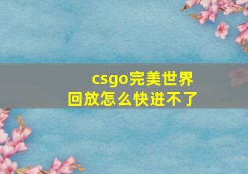 csgo完美世界回放怎么快进不了