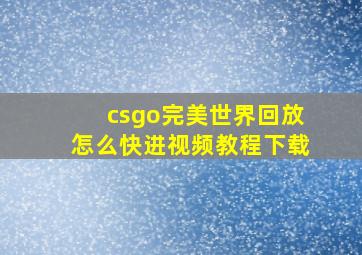 csgo完美世界回放怎么快进视频教程下载