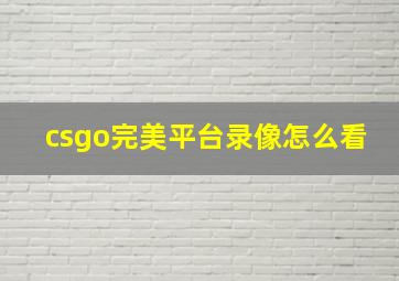 csgo完美平台录像怎么看