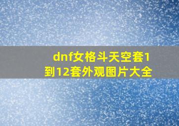 dnf女格斗天空套1到12套外观图片大全