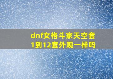 dnf女格斗家天空套1到12套外观一样吗