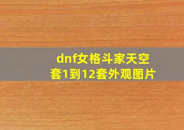 dnf女格斗家天空套1到12套外观图片