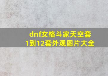 dnf女格斗家天空套1到12套外观图片大全