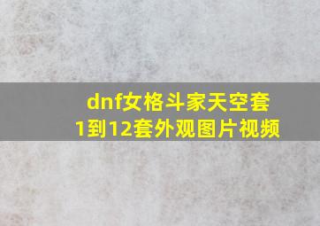 dnf女格斗家天空套1到12套外观图片视频