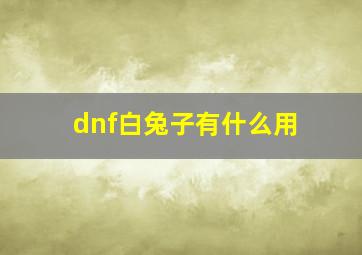 dnf白兔子有什么用