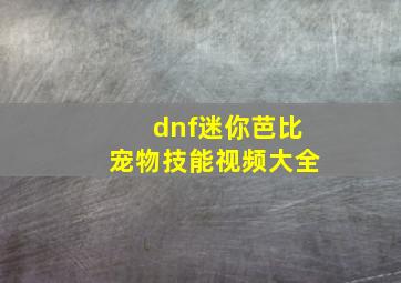 dnf迷你芭比宠物技能视频大全