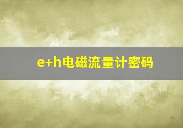 e+h电磁流量计密码