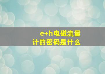 e+h电磁流量计的密码是什么