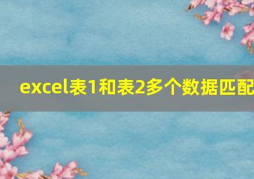 excel表1和表2多个数据匹配