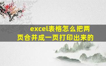 excel表格怎么把两页合并成一页打印出来的