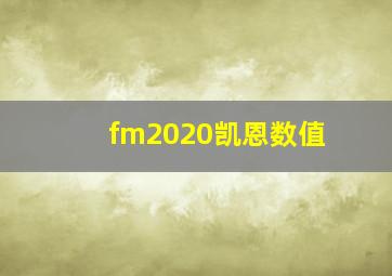 fm2020凯恩数值