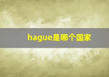 hague是哪个国家