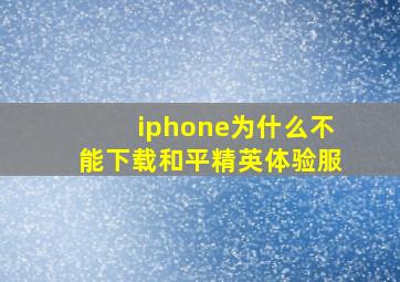 iphone为什么不能下载和平精英体验服