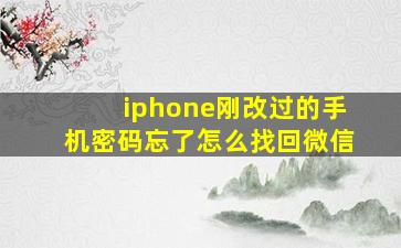 iphone刚改过的手机密码忘了怎么找回微信