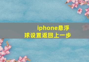 iphone悬浮球设置返回上一步