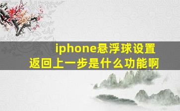 iphone悬浮球设置返回上一步是什么功能啊