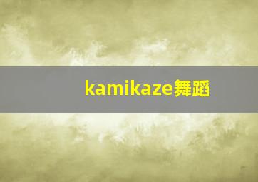 kamikaze舞蹈