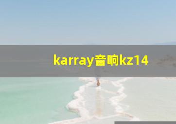 karray音响kz14