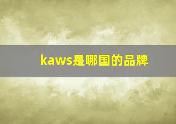 kaws是哪国的品牌