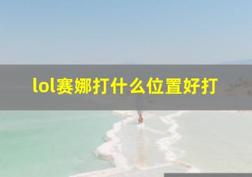 lol赛娜打什么位置好打