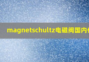 magnetschultz电磁阀国内代工