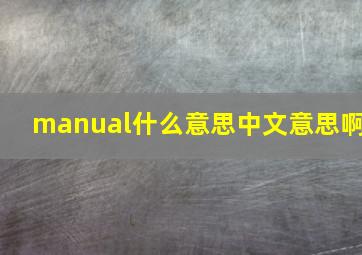 manual什么意思中文意思啊