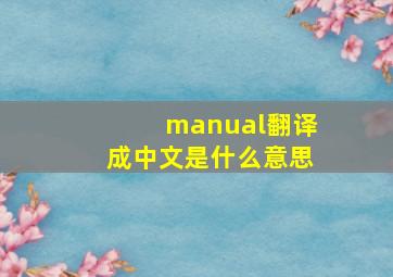 manual翻译成中文是什么意思