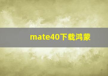 mate40下载鸿蒙