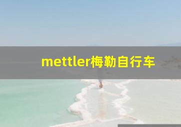 mettler梅勒自行车