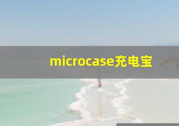 microcase充电宝