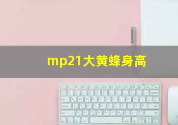 mp21大黄蜂身高