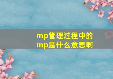 mp管理过程中的mp是什么意思啊