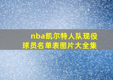 nba凯尔特人队现役球员名单表图片大全集