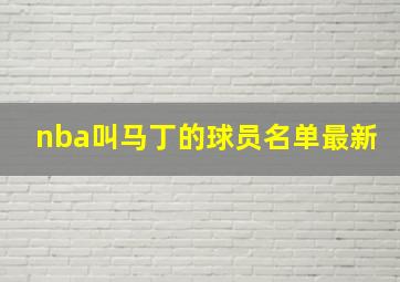 nba叫马丁的球员名单最新