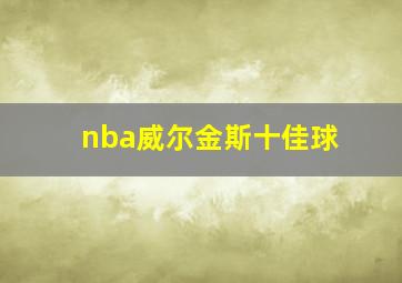 nba威尔金斯十佳球